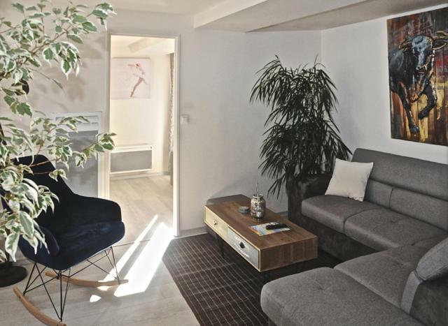 Gite, Location Meuble De Tourisme 3 Etoiles Châtillon-Coligny Buitenkant foto